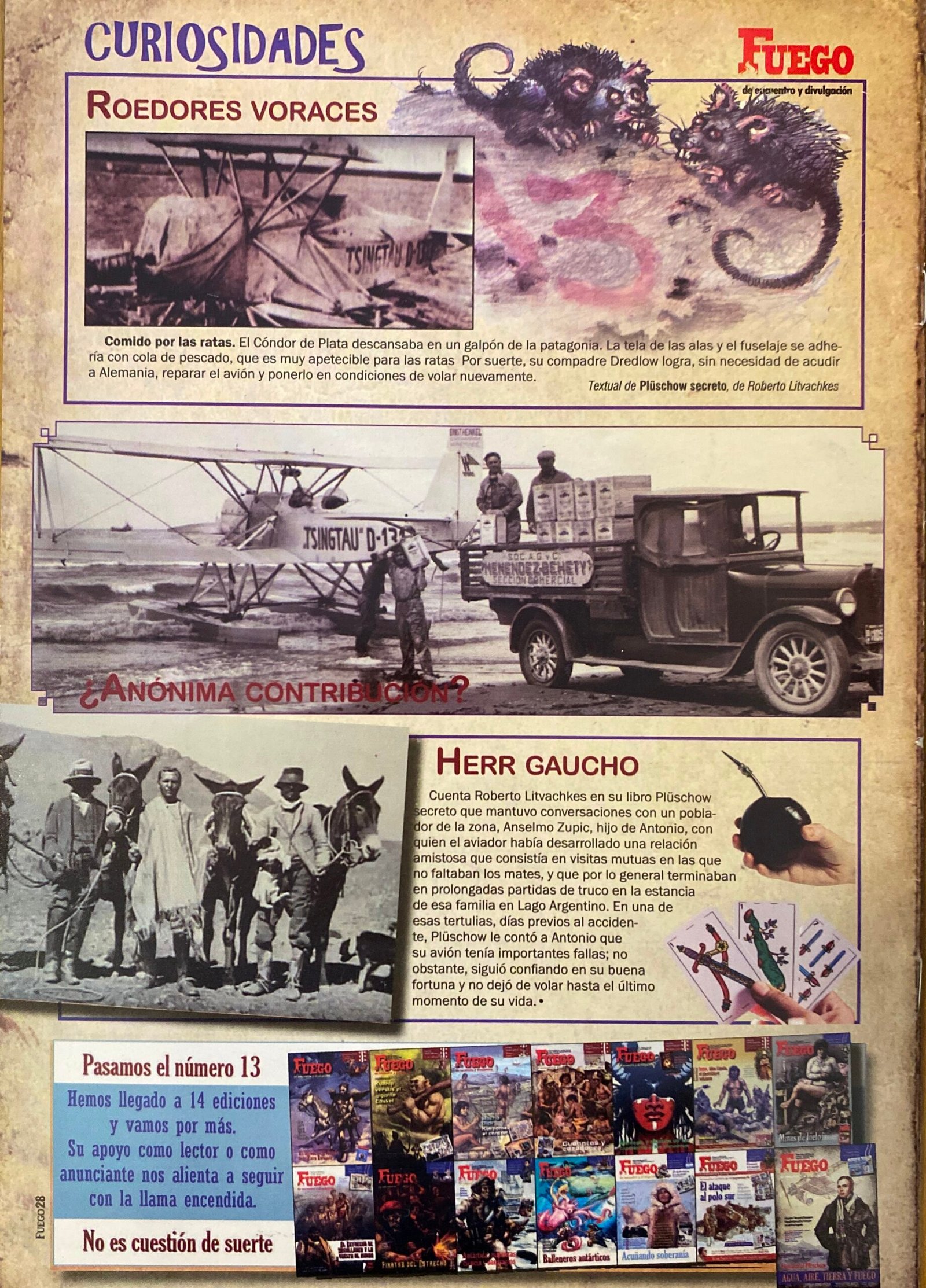 Fuego De Encuentro Y Divulgación N°8